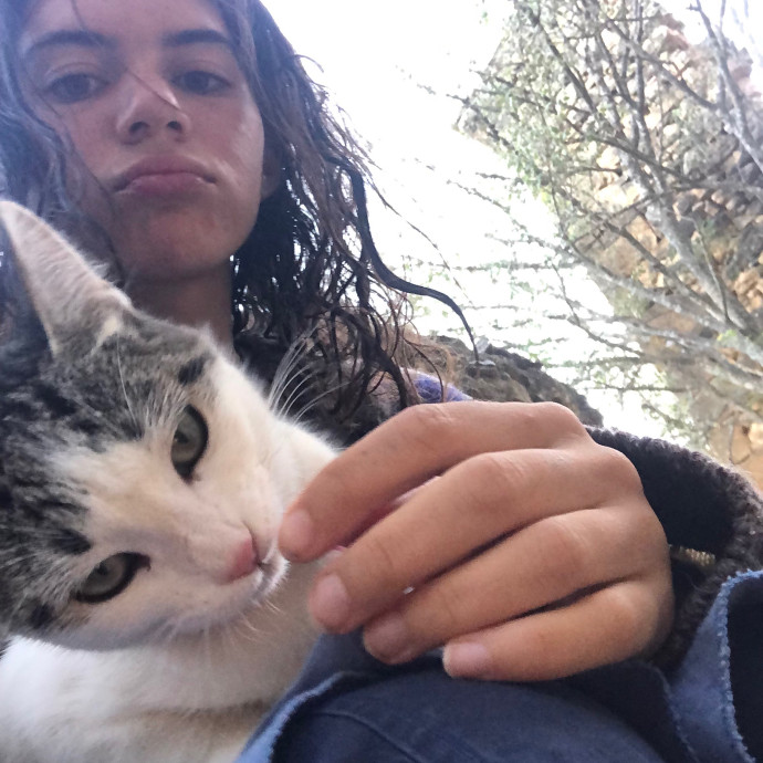 Cat Whisperer