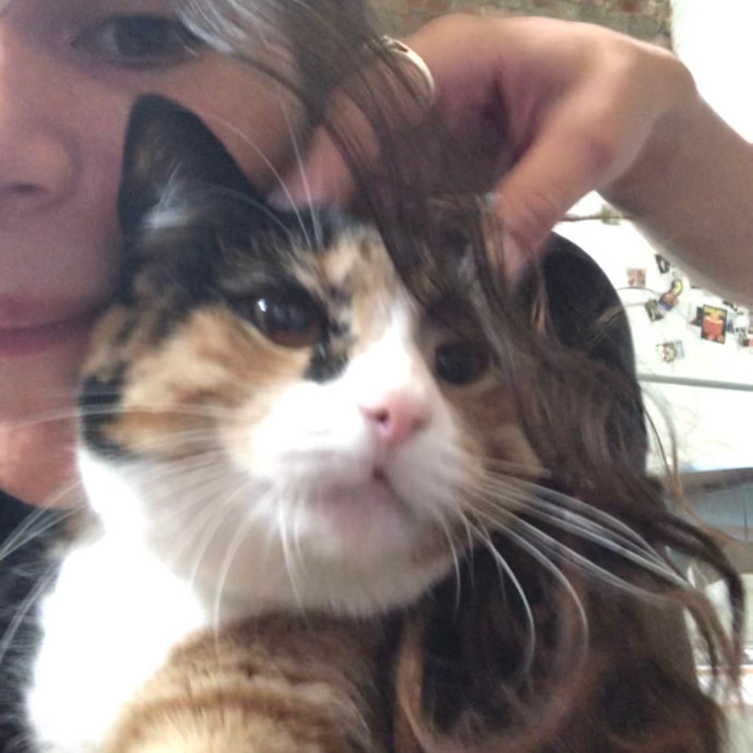 Cat Whisperer