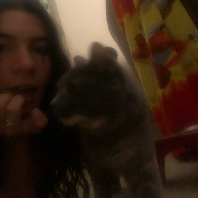 Cat Whisperer