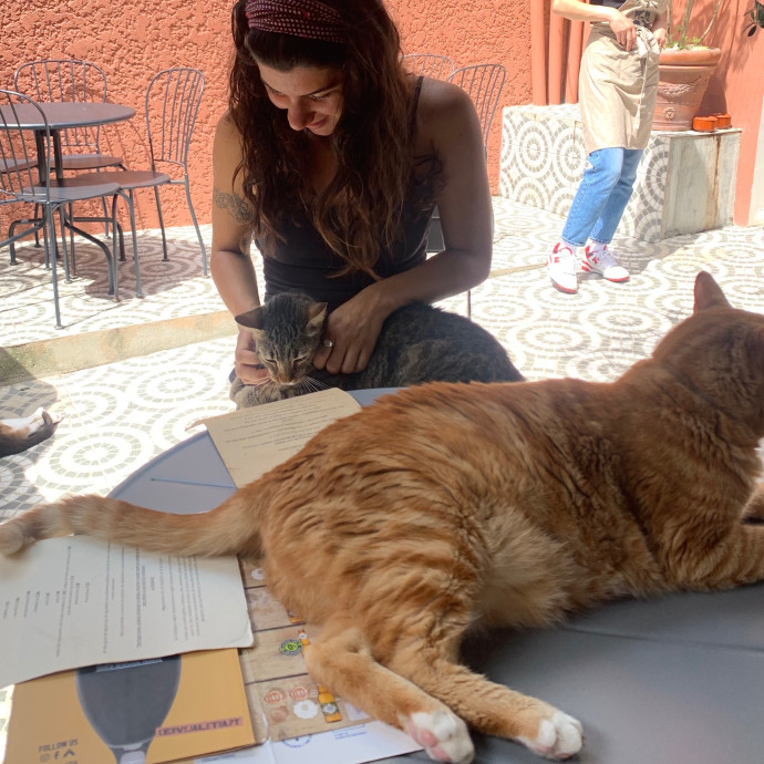 Cat Whisperer