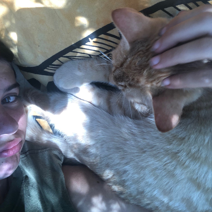 Cat Whisperer