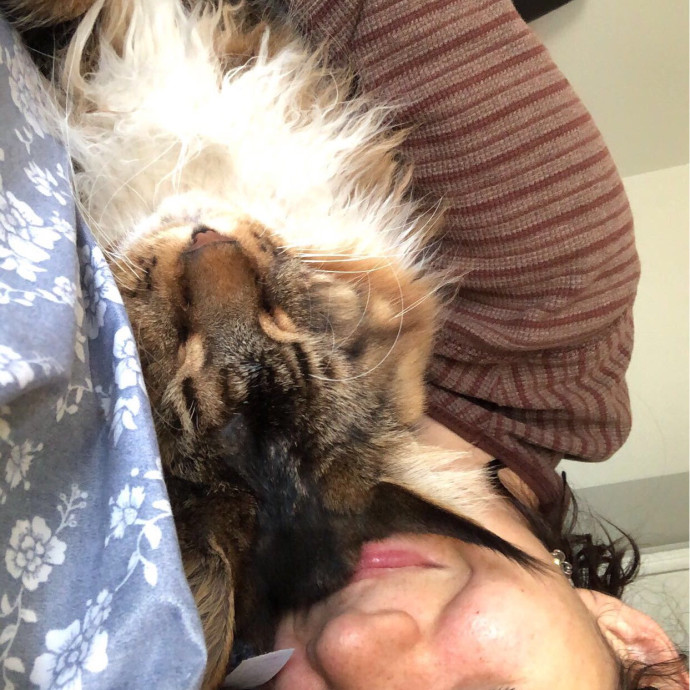 Cat Whisperer photo 3