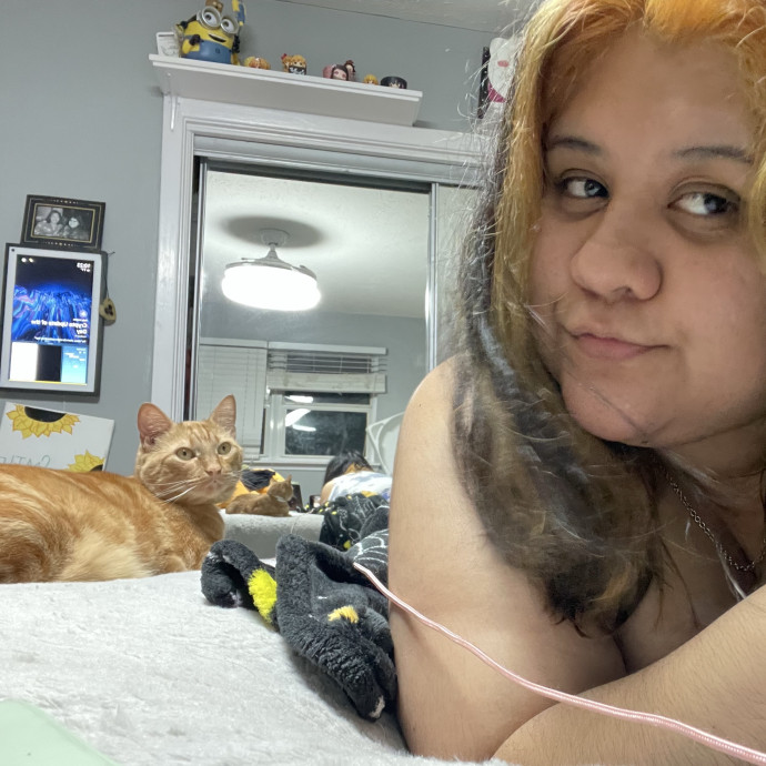 Your Cat's New Bestie