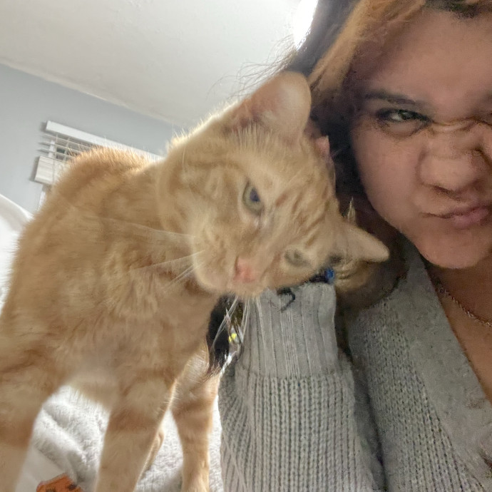 Your Cat's New Bestie photo 3