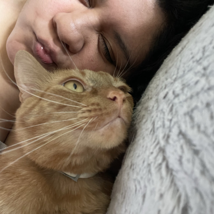 Your Cat's New Bestie photo 2