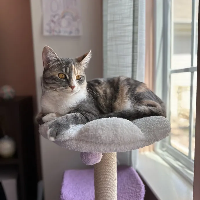Olivia S.