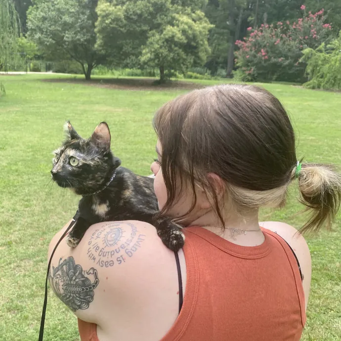 Loving Cat Sitter photo 2