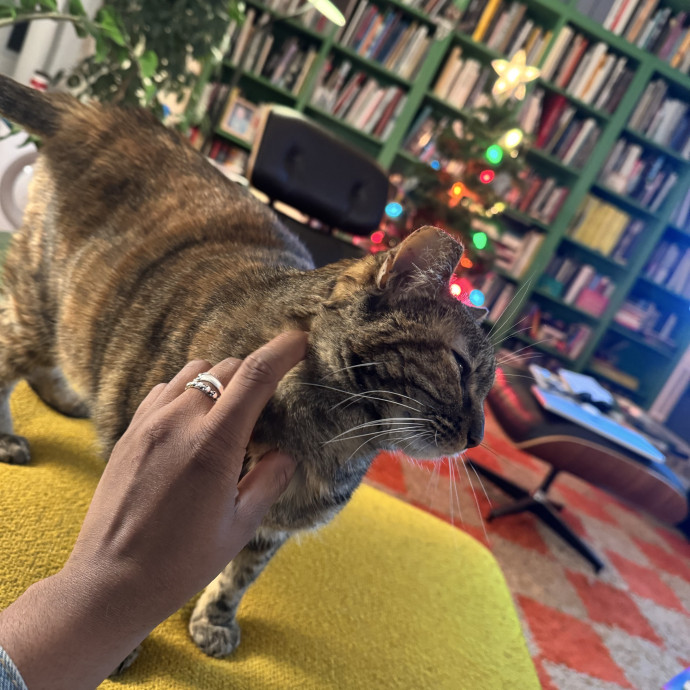 Muwazu's Calming Kitty Care photo 3