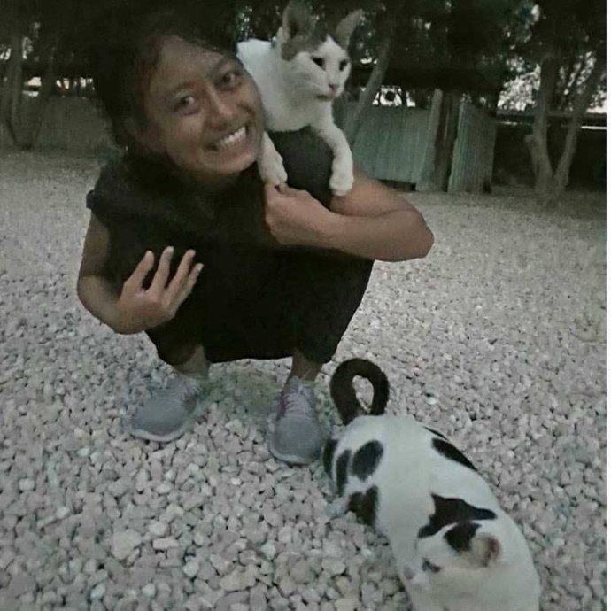 Jun The Cat Sitter photo 3