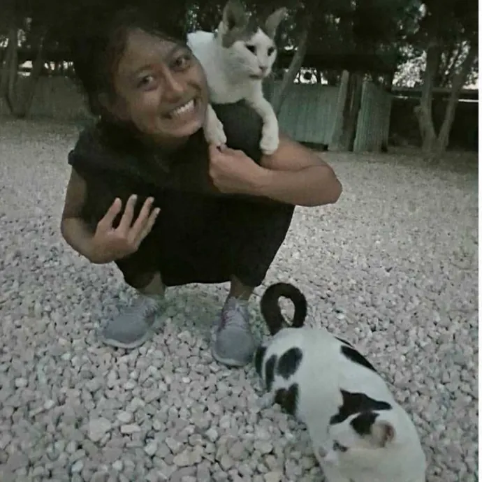 Jun The Cat Sitter photo 3
