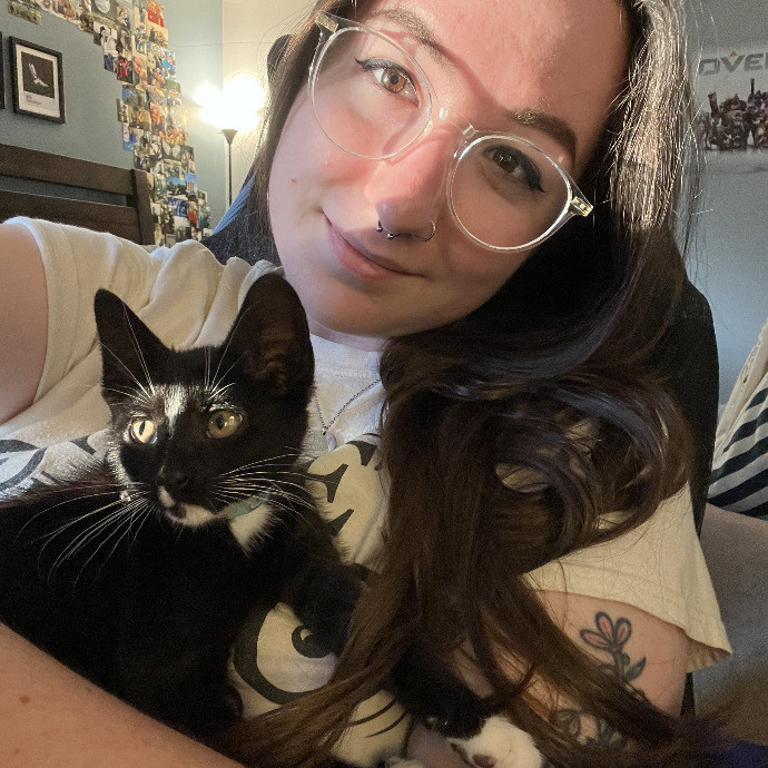 Skilled Care For Feline Comfort