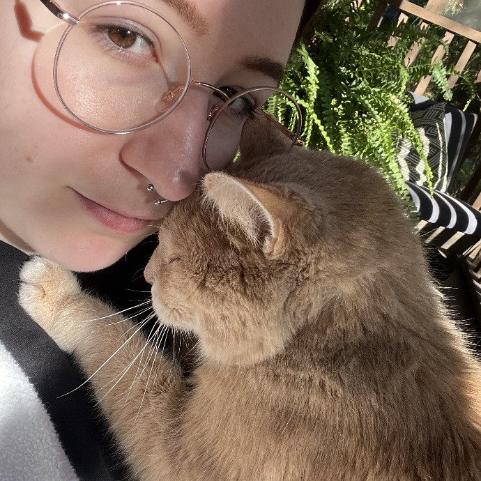 Skilled Care For Feline Comfort