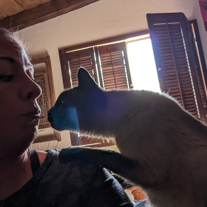 Cat Cuddles Full-Time Sitter Since 2015