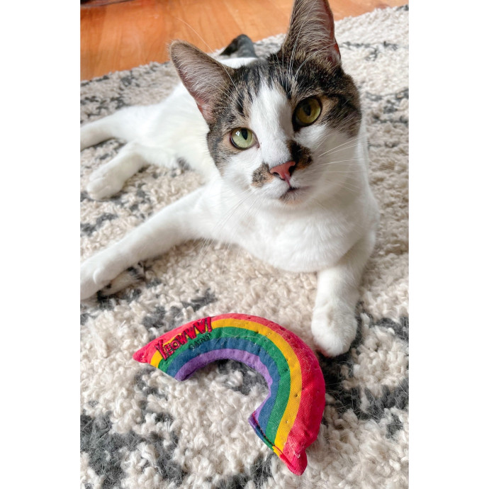 Erica's Pawsitive Vibes Cat-Sitting
