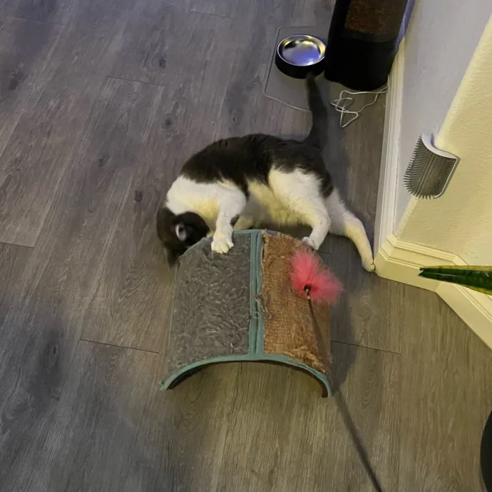 Someone To Make Your Life Easier