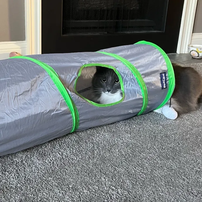 Someone To Make Your Life Easier