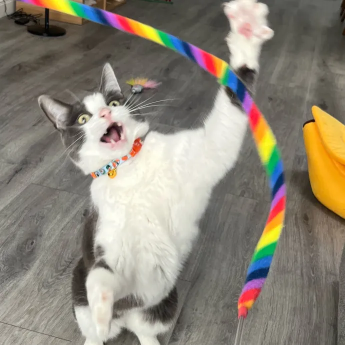 Someone To Make Your Life Easier