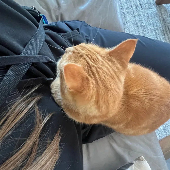 Someone To Make Your Life Easier photo 3