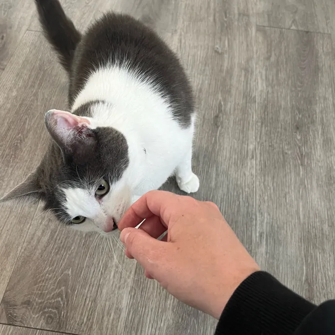 Someone To Make Your Life Easier photo 2