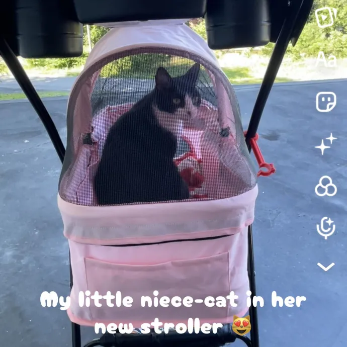 Tricia L.