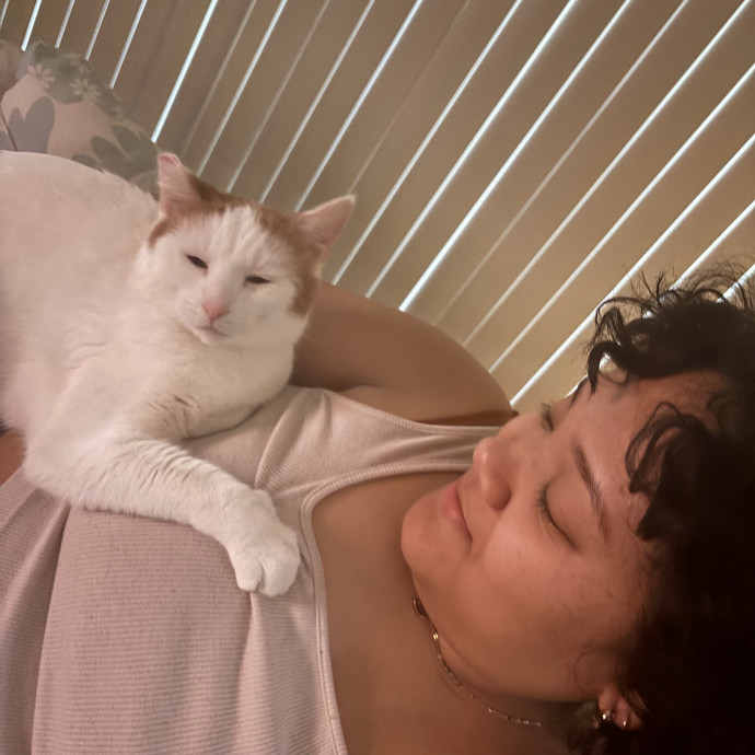 Gabby's Cat Friends photo 3