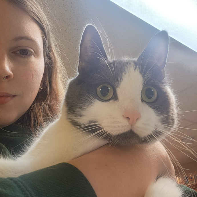 Kim's Kitty Sitting