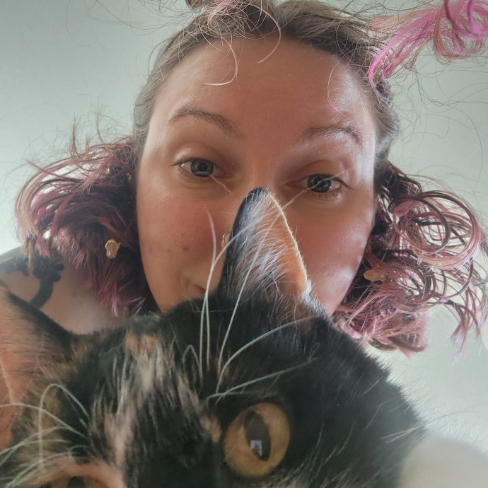 Kim's Kitty Sitting