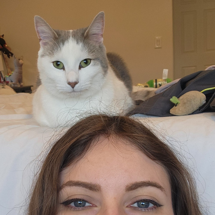 Kim's Kitty Sitting