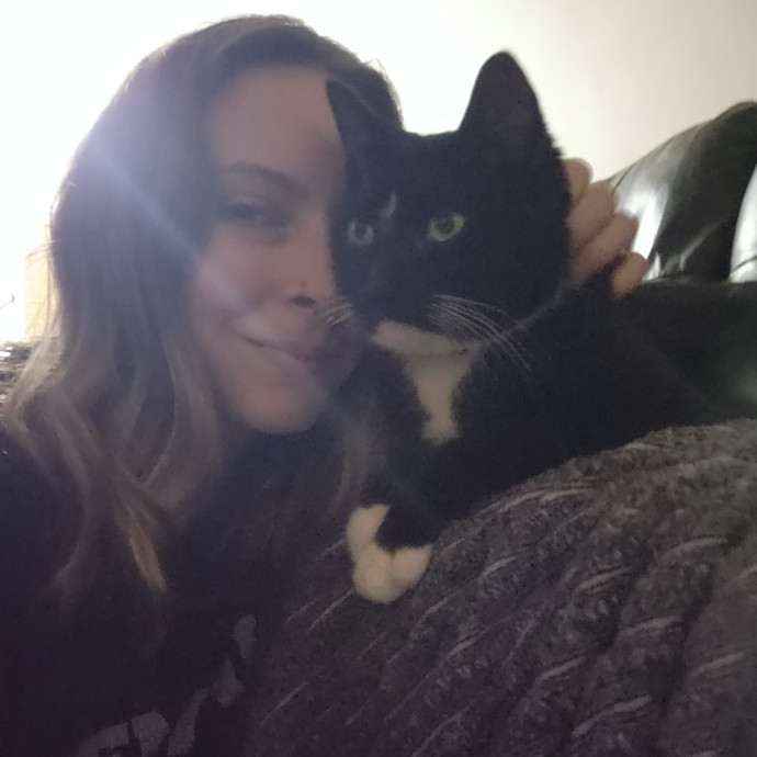 Kim's Kitty Sitting