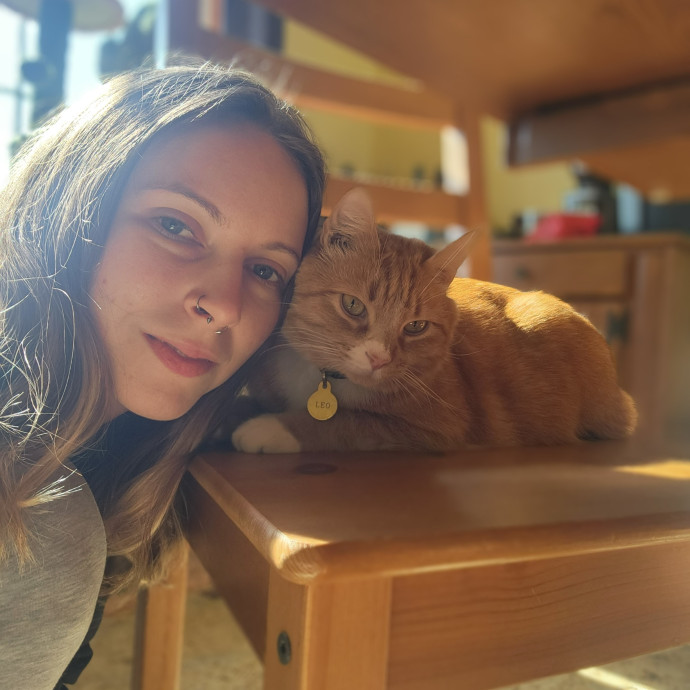 Kim's Kitty Sitting