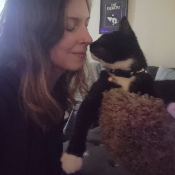 Kim's Kitty Sitting