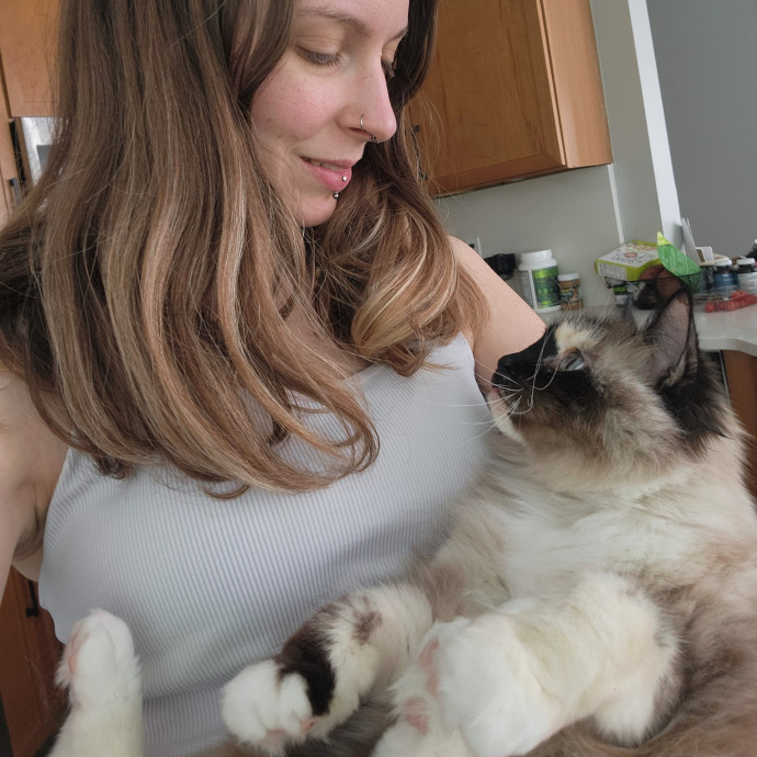 Kim's Kitty Sitting