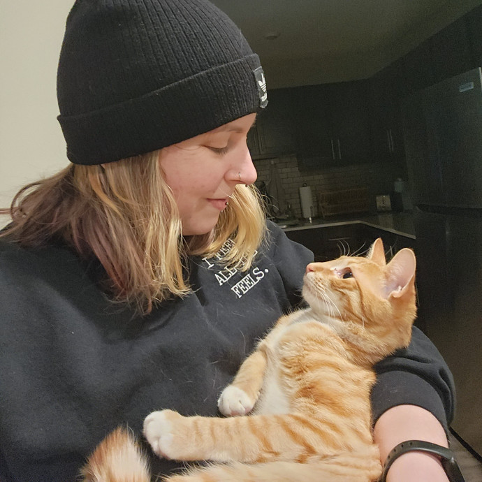 Kim's Kitty Sitting
