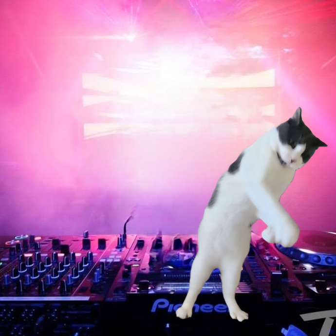 Kim's Kitty Sitting