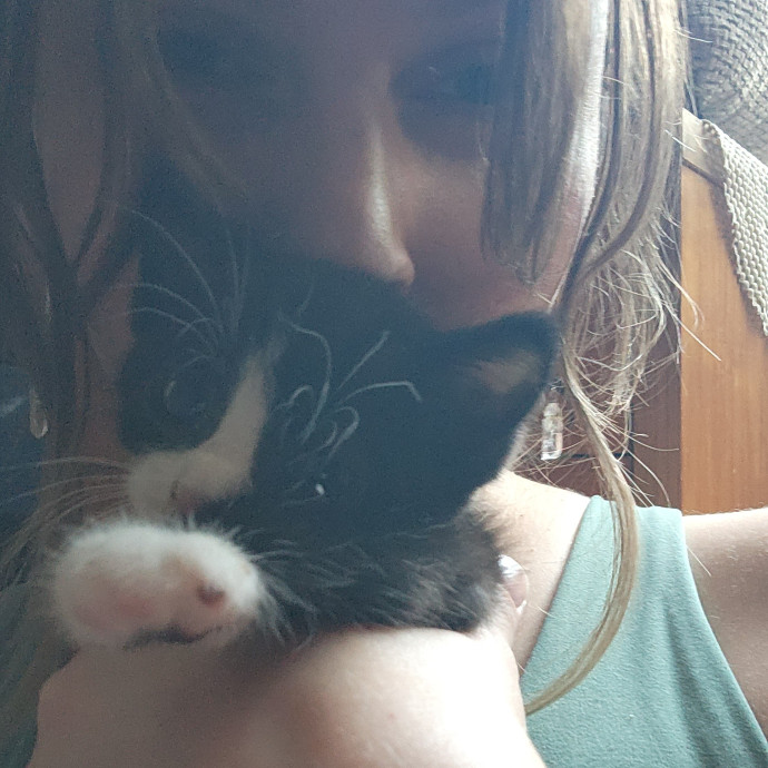 Kim's Kitty Sitting