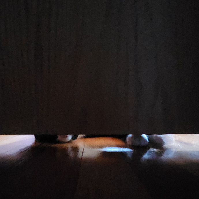 Kim's Kitty Sitting