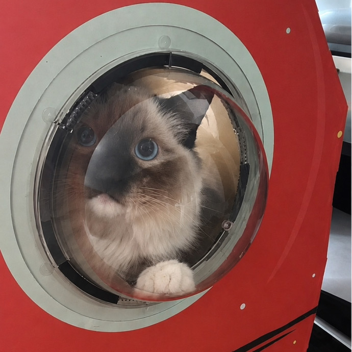 Your Cat Interviewed Me - I Passed photo 3