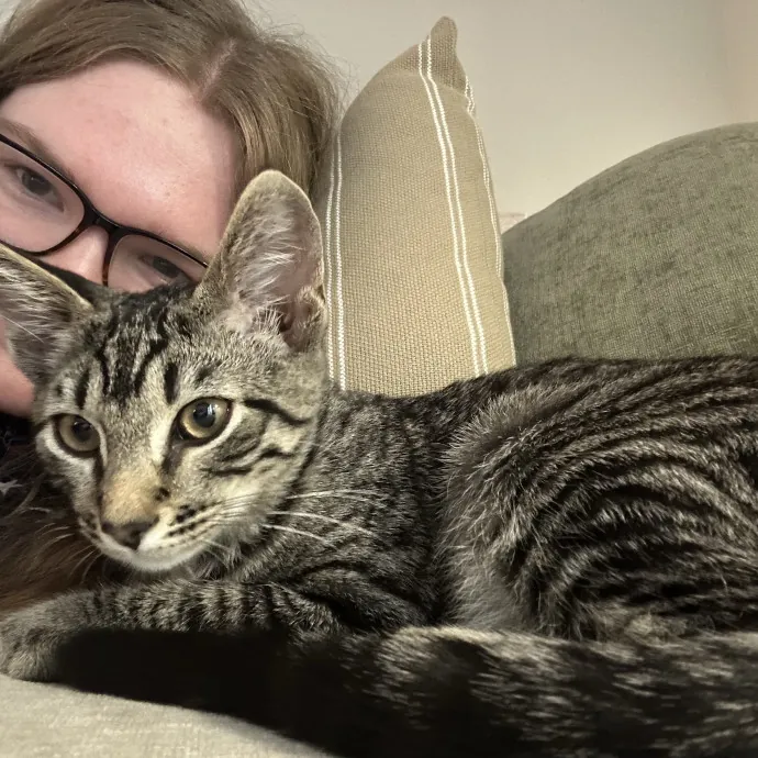 Compassionate And Dependable Cat Sitting photo 2