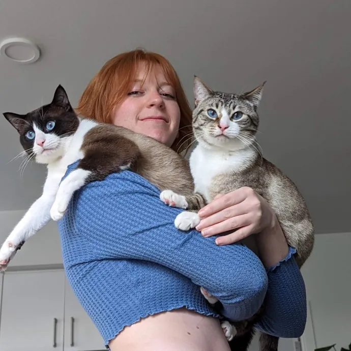 Evie The Cat Concierge