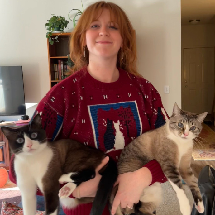 Evie The Cat Concierge