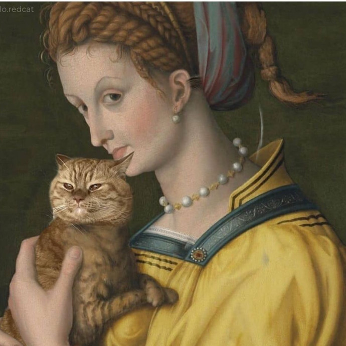 Experienced Cat Lover In Lewes photo 2