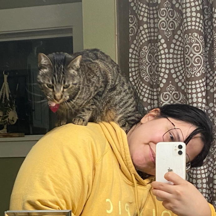 Kitty Caretaker