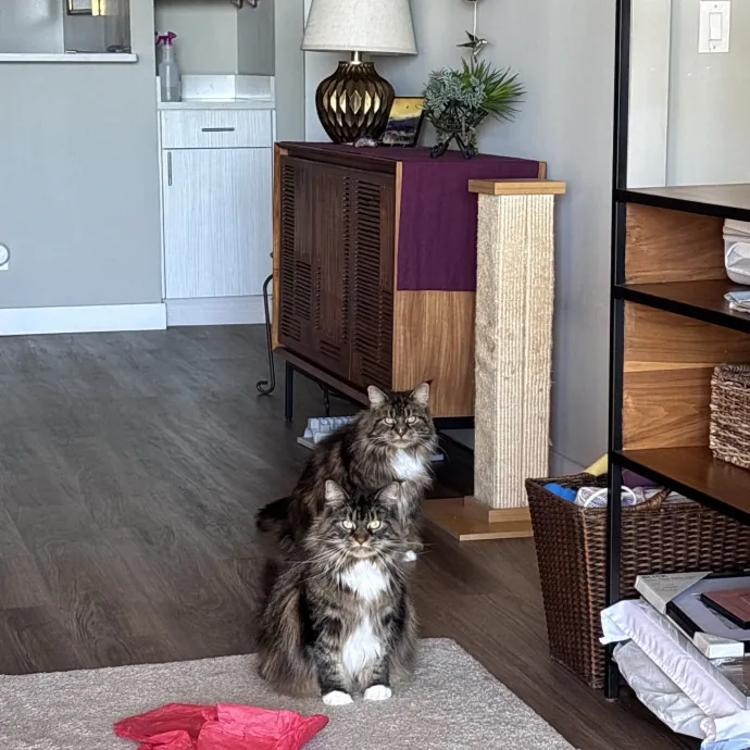 Unconditional Love From Fur To Fur 