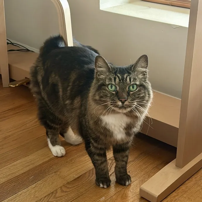 Unconditional Love From Fur To Fur 