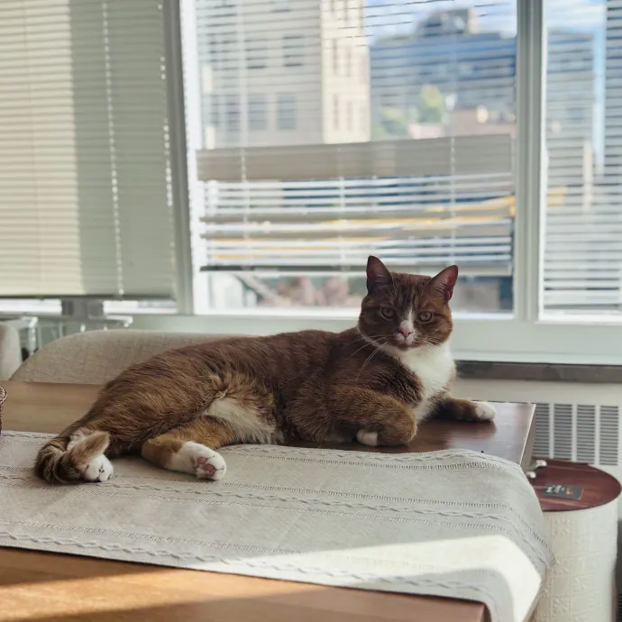 Unconditional Love From Fur To Fur 