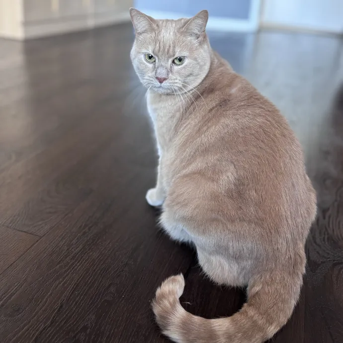 Unconditional Love From Fur To Fur 