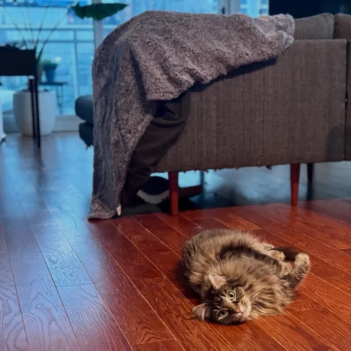 Unconditional Love From Fur To Fur 