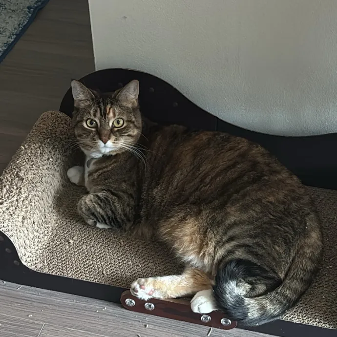 Unconditional Love From Fur To Fur