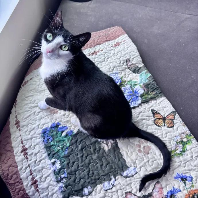 Unconditional Love From Fur To Fur