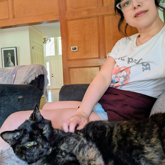 Tlc Cat Sitting photo 2